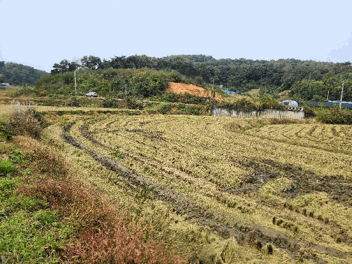 사진 5