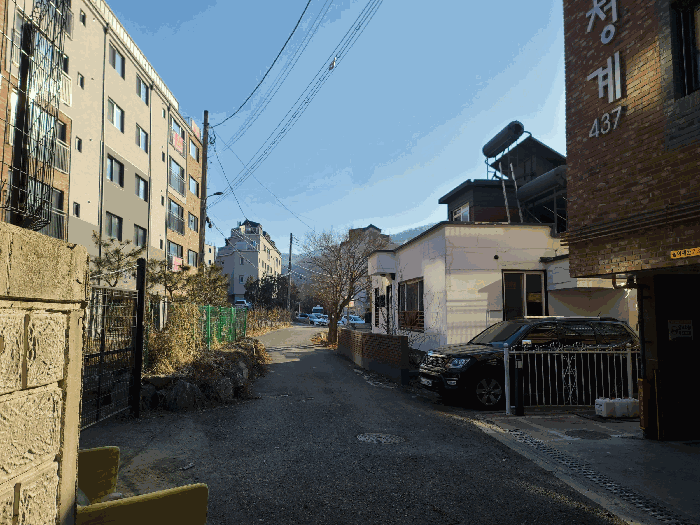 사진 8