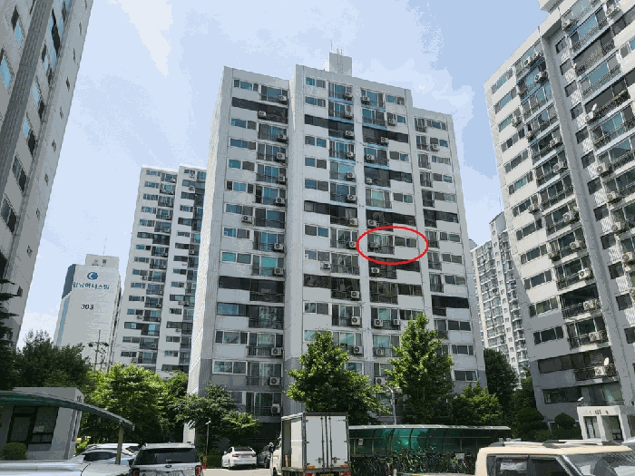 사진 5