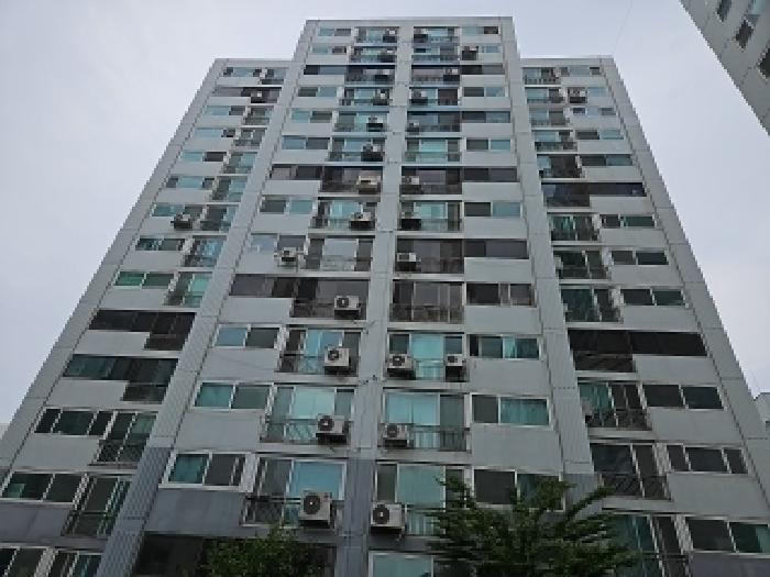 사진 9