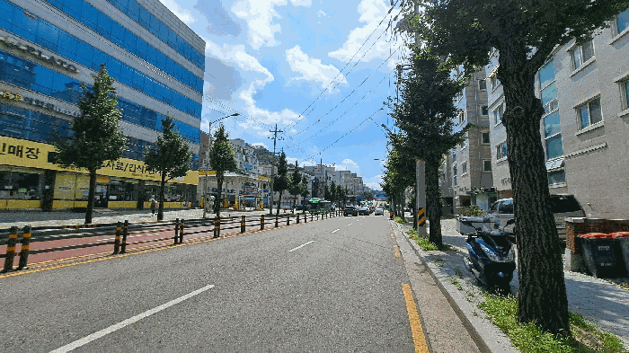 사진 12