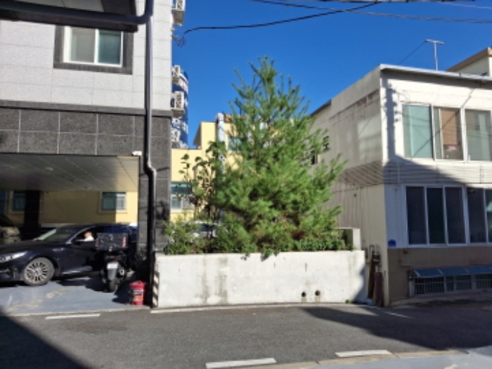 사진 3