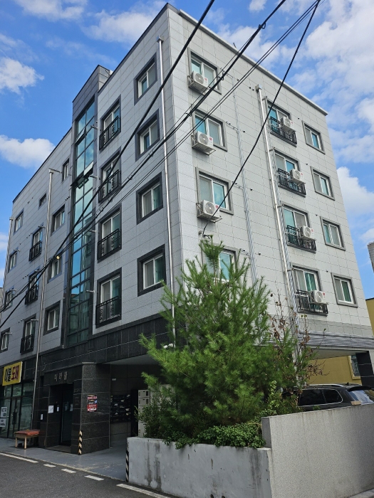 사진 51