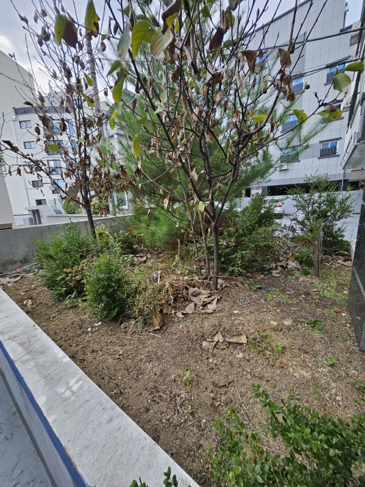 사진 54