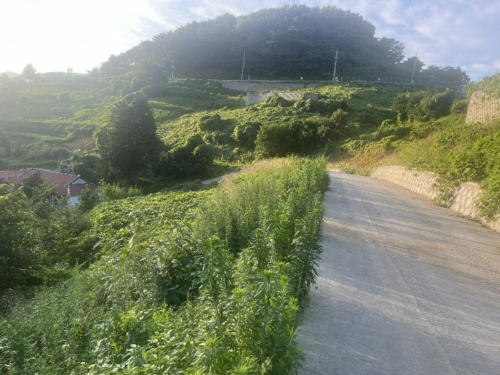 사진 1
