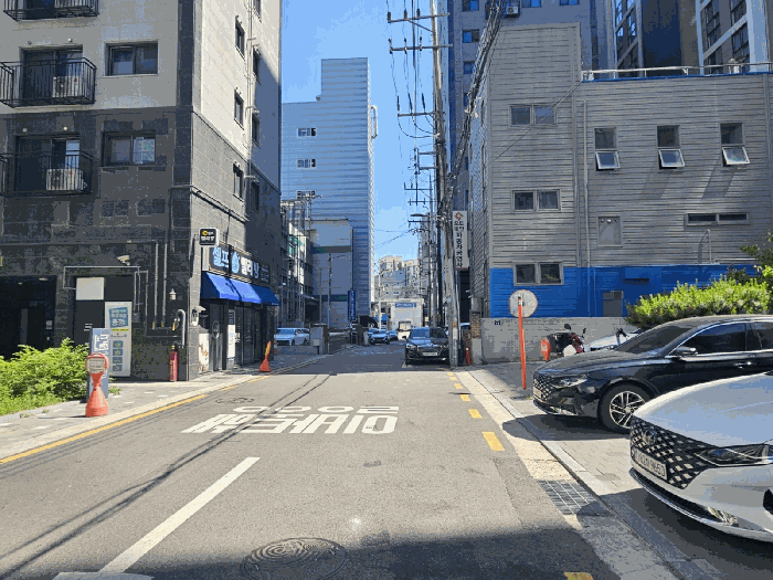 사진 15