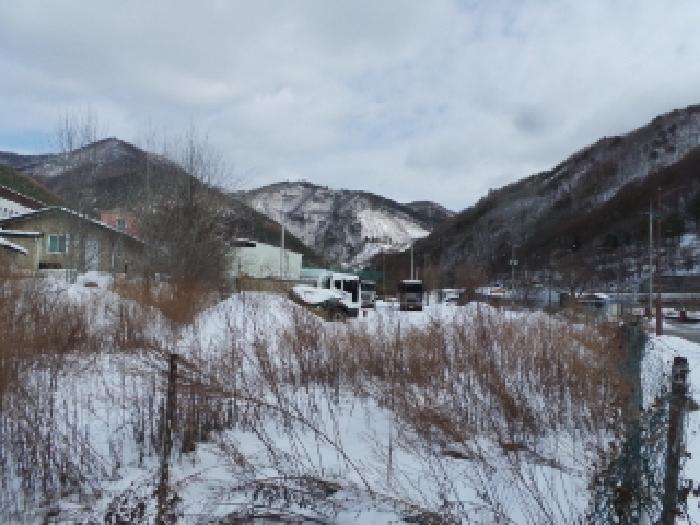 사진 9