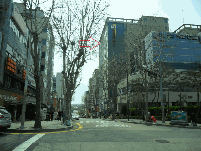 사진 3
