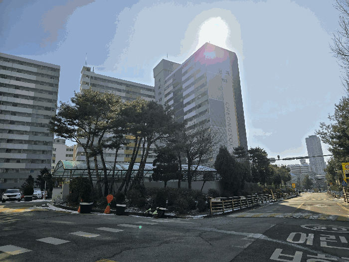 사진 5