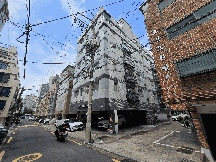 사진 10