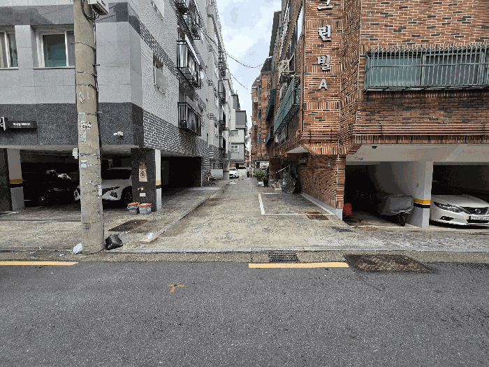 사진 11