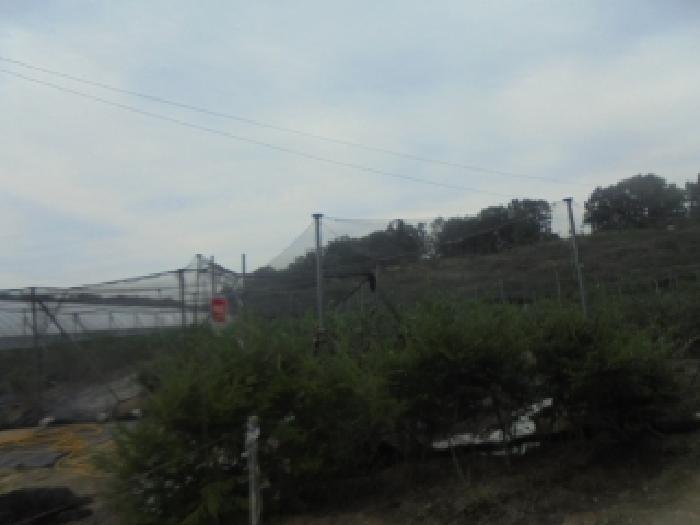 사진 3