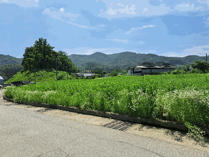 사진 31