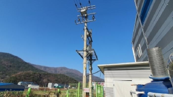 사진 31