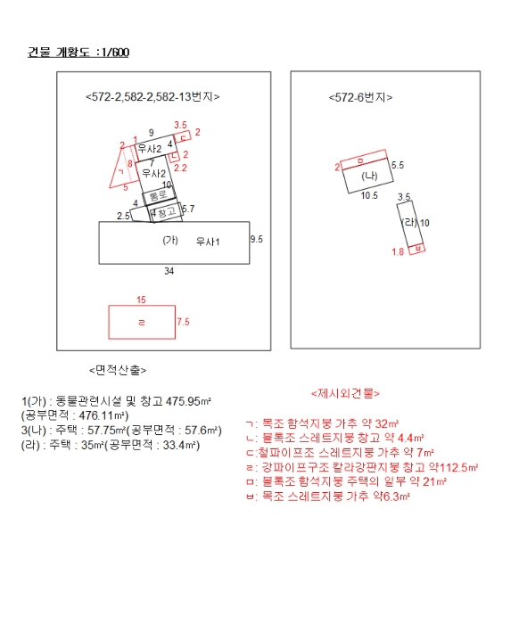 사진 10