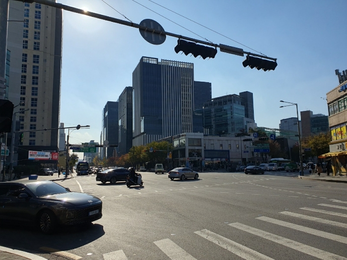 사진 12