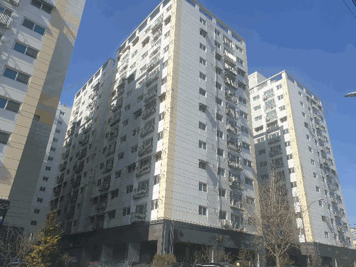 사진 10