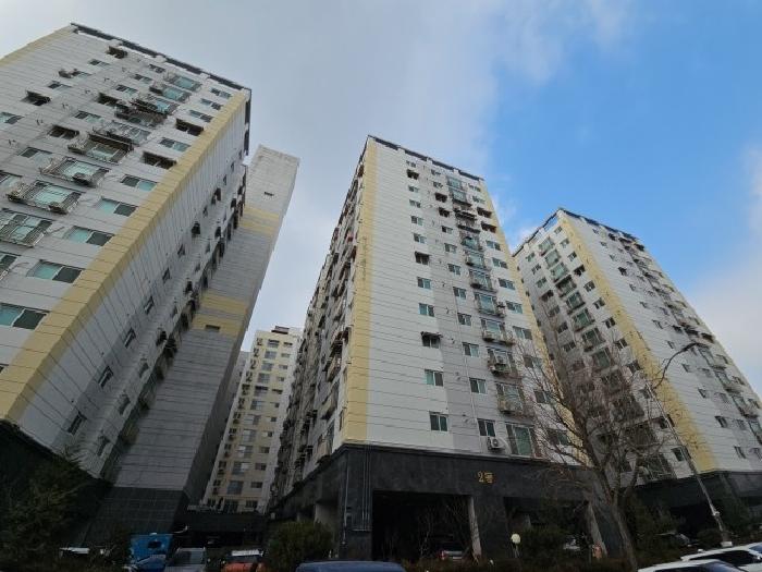 사진 11