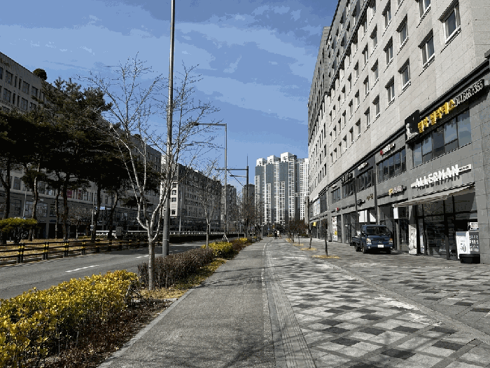 사진 16