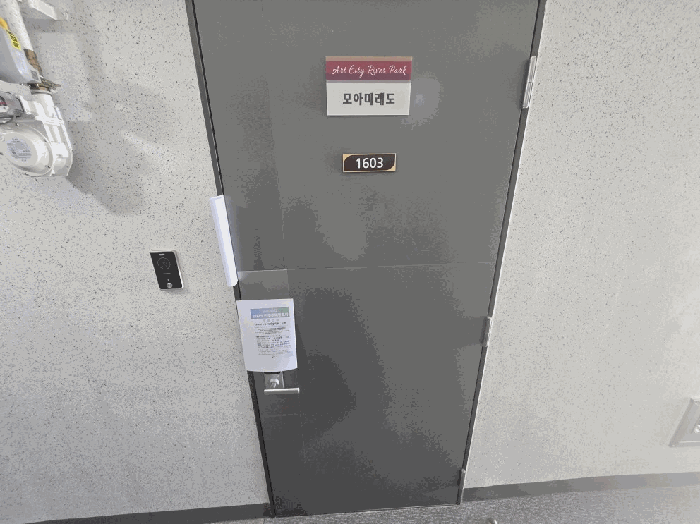 사진 11