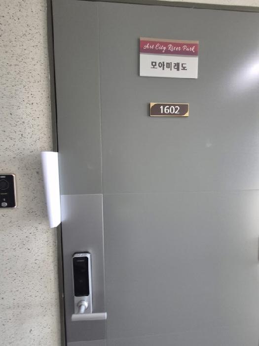 사진 19