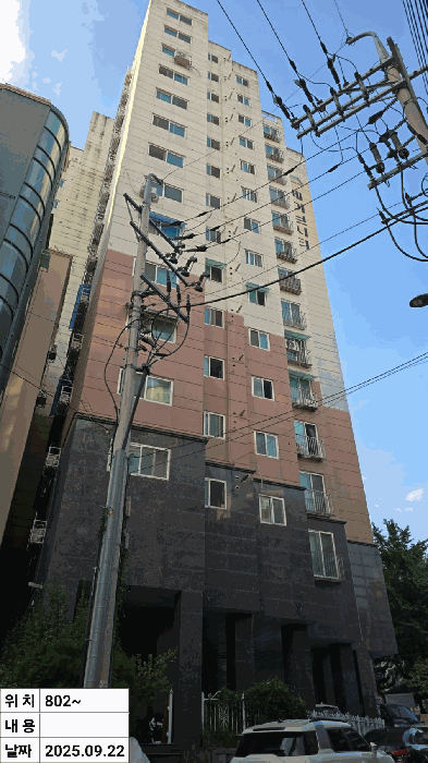 사진 9