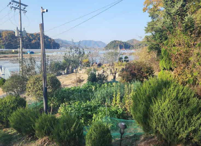 사진 17