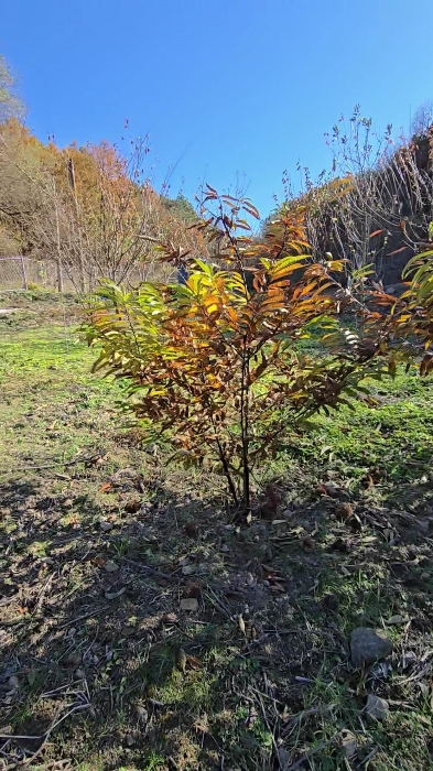 사진 32