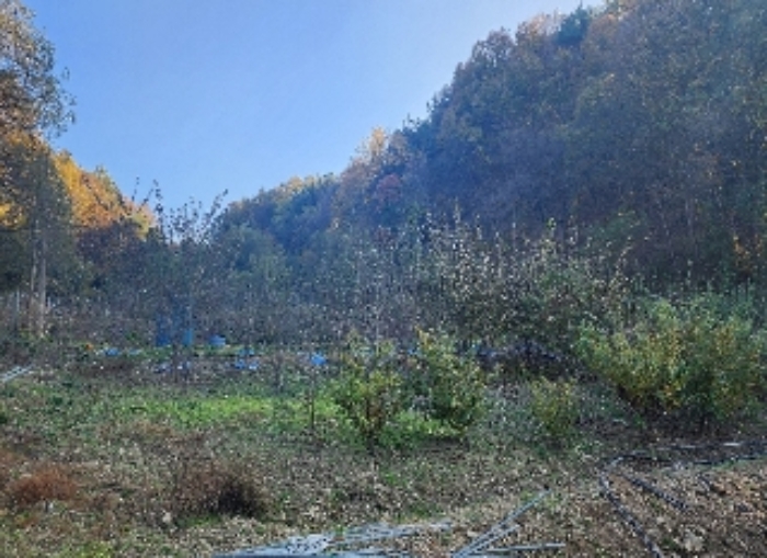 사진 5