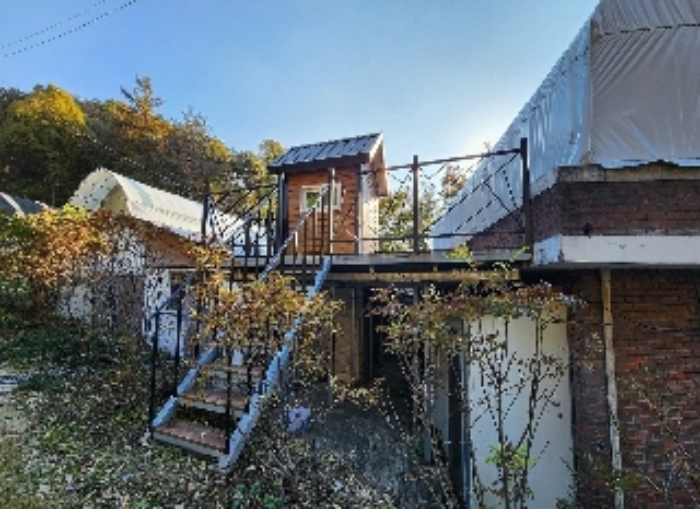 사진 7