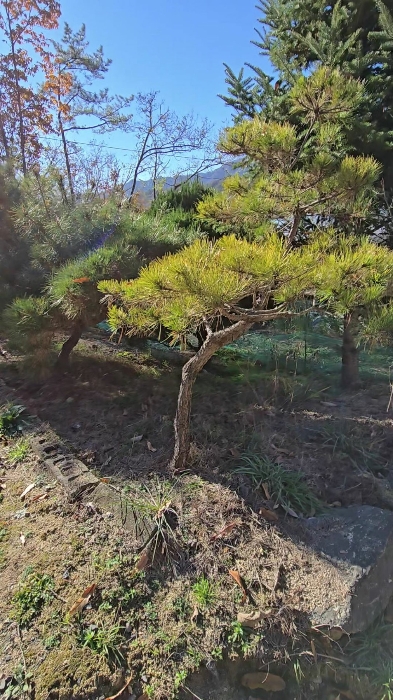 사진 60