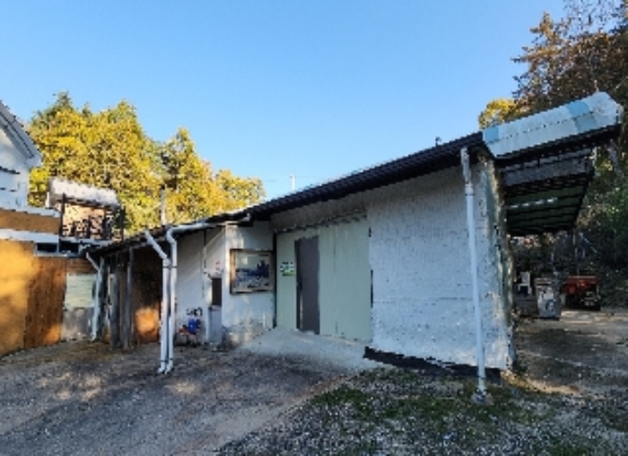 사진 10