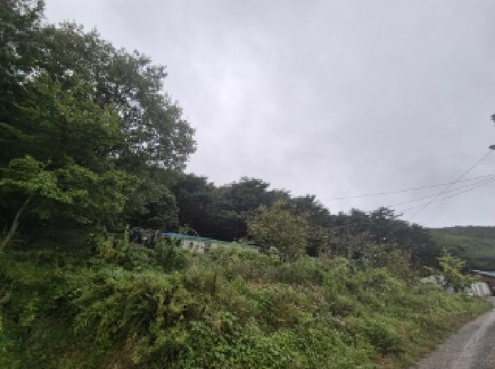 사진 3