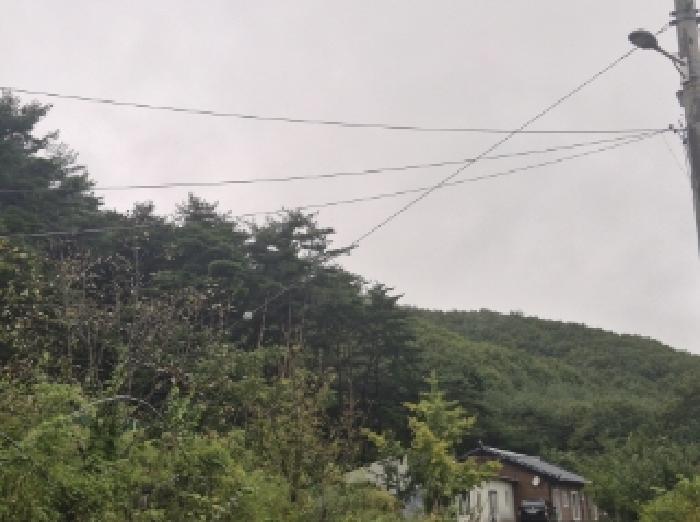 사진 5