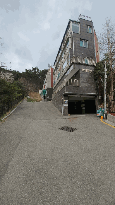 사진 7