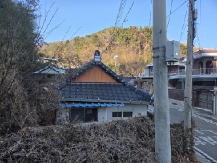 사진 3