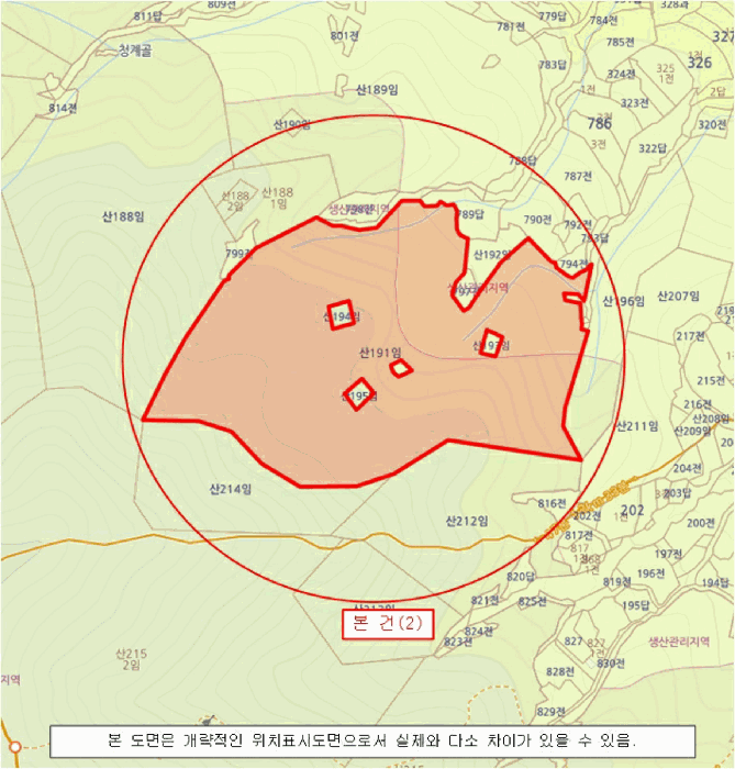 사진 10