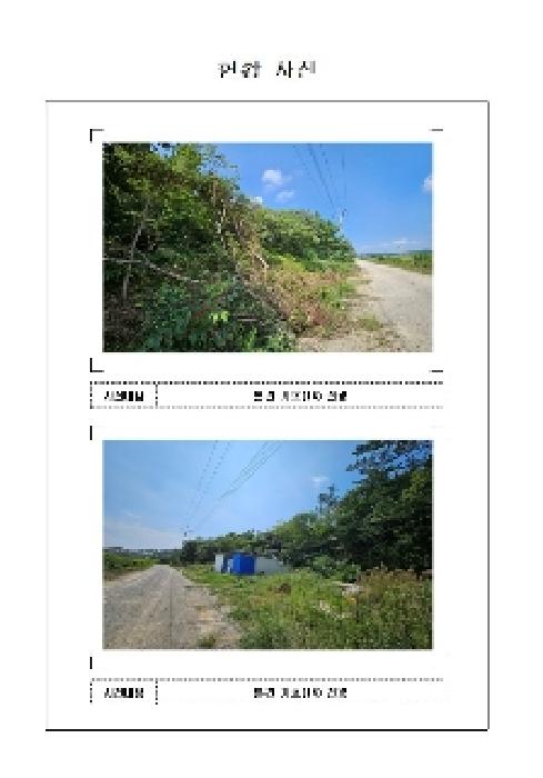 사진 10