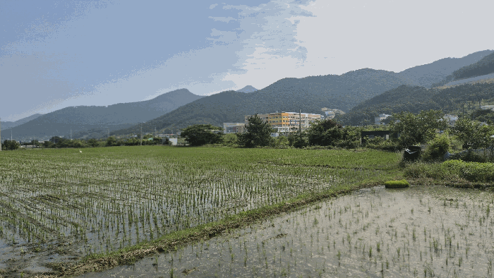 사진 1