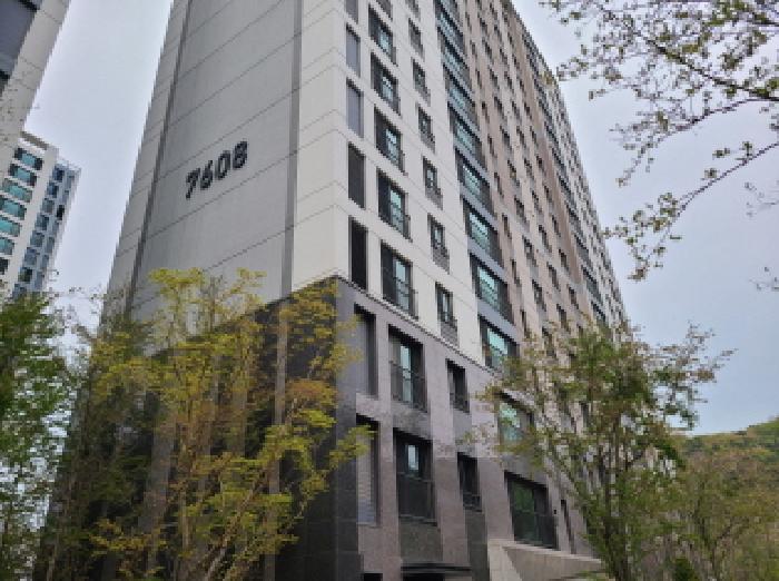 사진 1