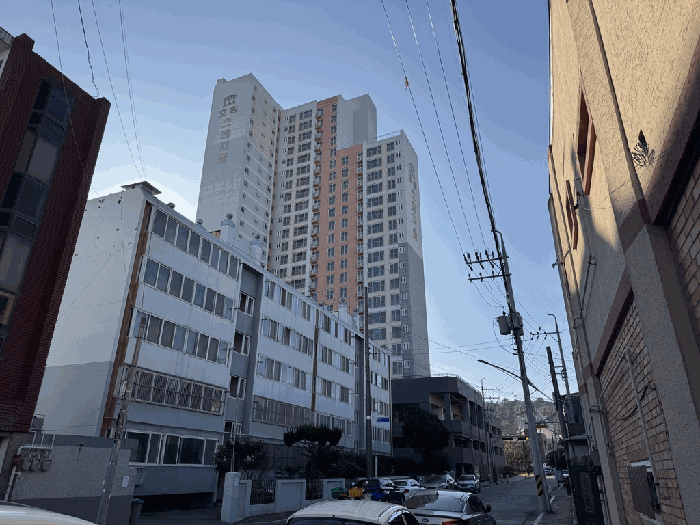 사진 8