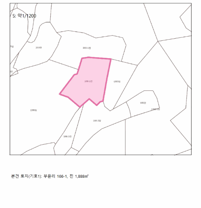 사진 11