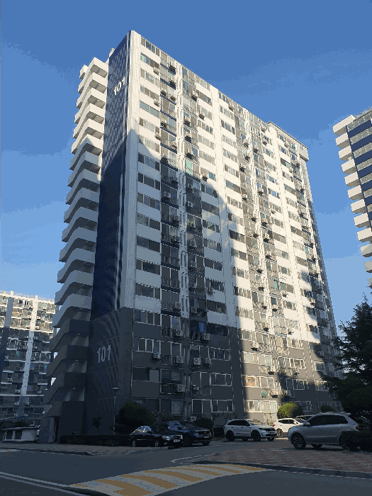 사진 9