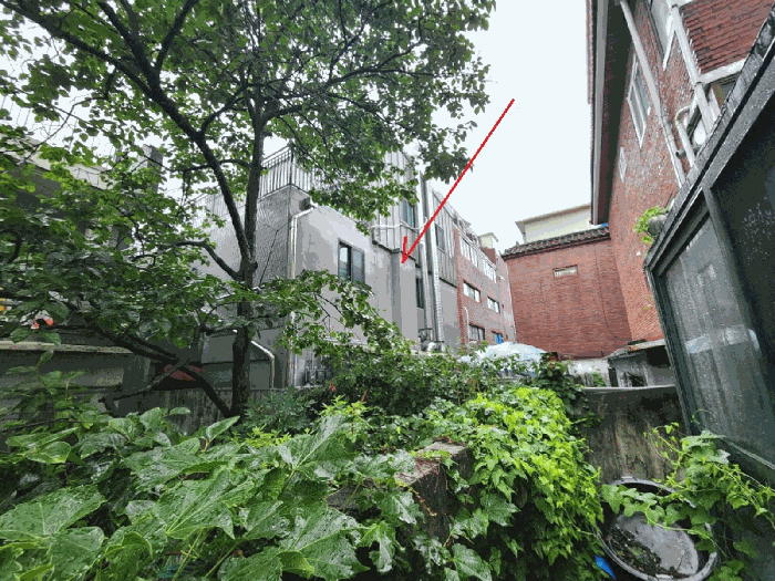 사진 20