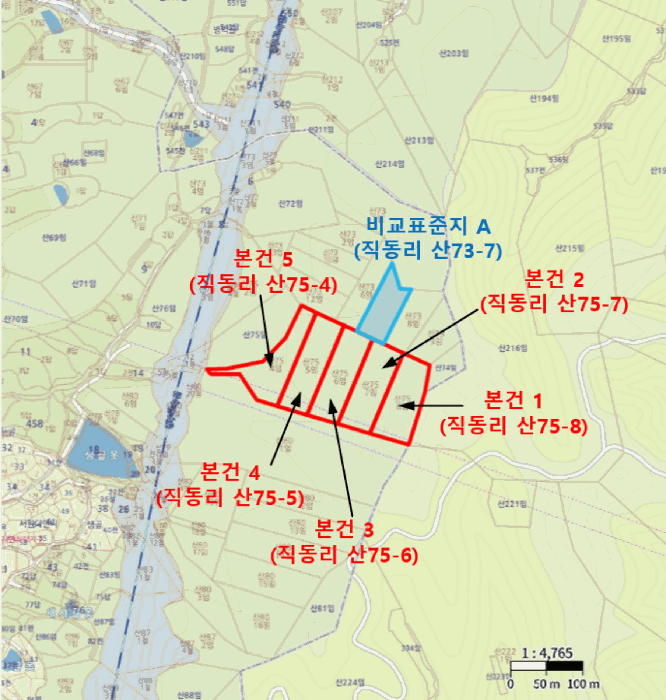 사진 3