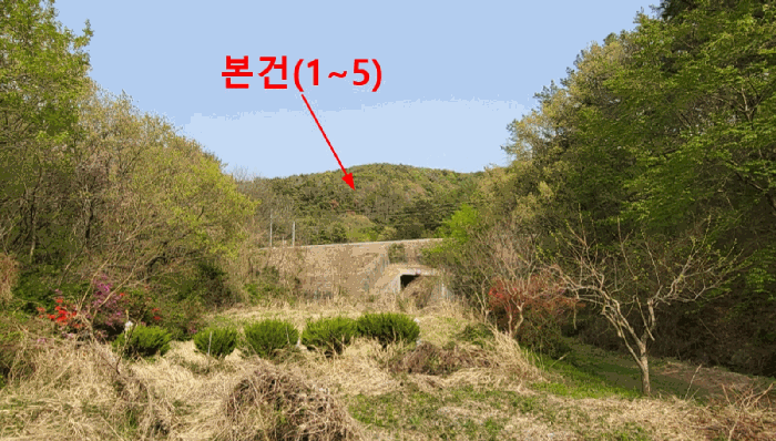 사진 1
