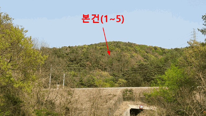 사진 6