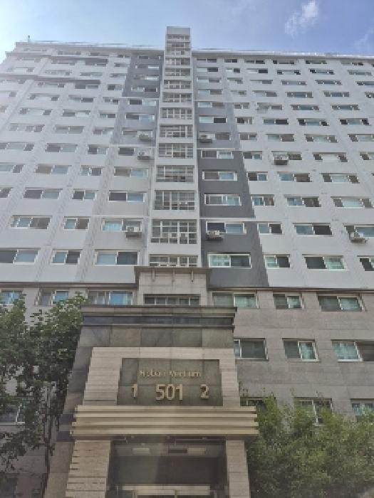 사진 5