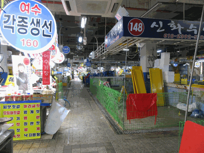 사진 8