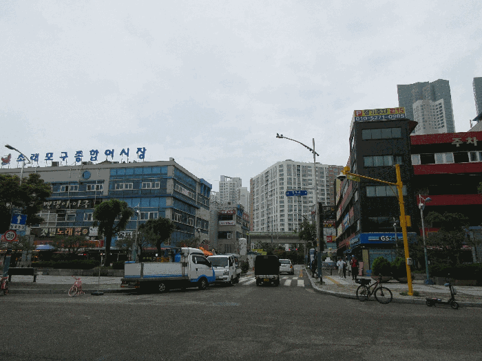 사진 9